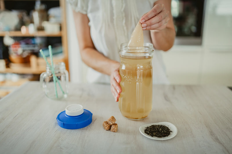 Prepara Kombucha Casera con el Kefirko