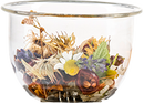 filtro de cristal para taza angelica flaska con flores secas para infusion