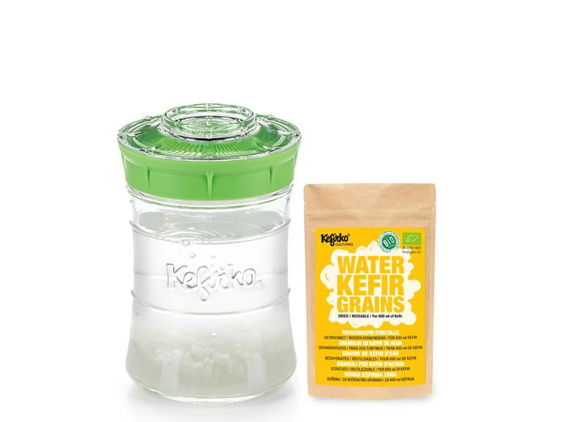 Kit Kefirko Pequeño (848ml) + Gránulos de Kéfir de AGUA Deshidratados - Amoreco