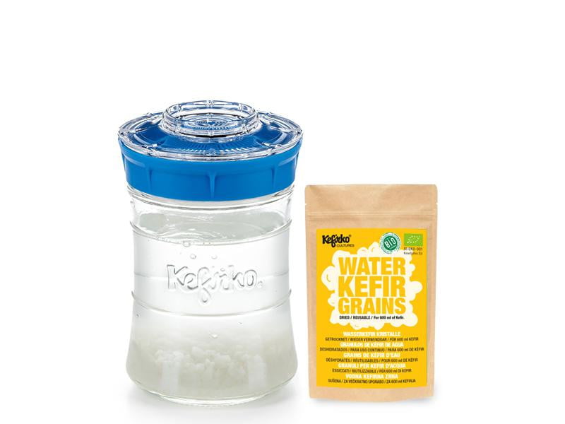 Kit Kefirko Pequeño (848ml) + Gránulos de Kéfir de AGUA Deshidratados - Amoreco