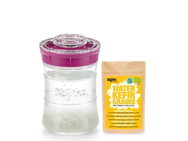 Kit Kefirko Pequeño (848ml) + Gránulos de Kéfir de AGUA Deshidratados - Amoreco