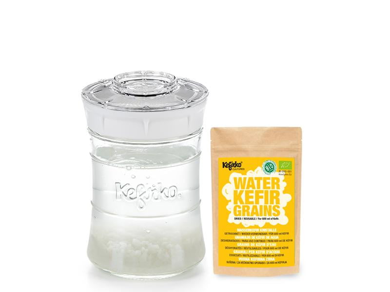 Kit Kefirko Pequeño (848ml) + Gránulos de Kéfir de AGUA Deshidratados - Amoreco