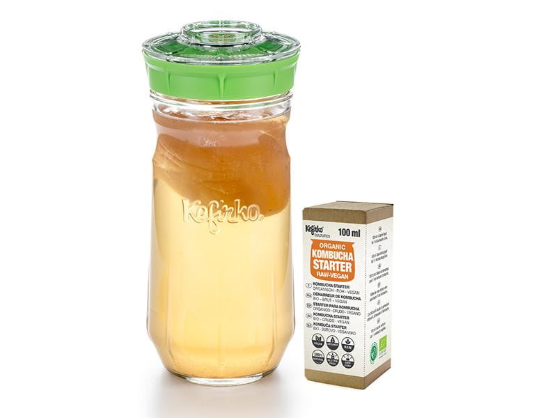 Kit Kefirko Grande (1.4L) + Starter para KOMBUCHA Ecológica - Amoreco