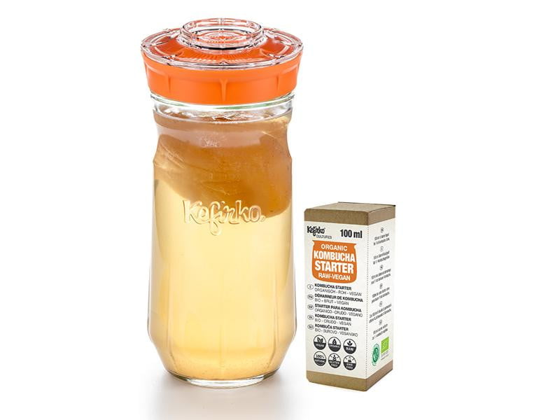 Kit Kefirko Grande (1.4L) + Starter para KOMBUCHA Ecológica - Amoreco