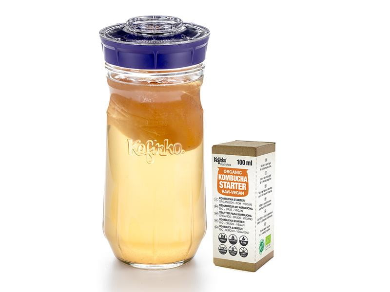 Kit Kefirko Grande (1.4L) + Starter para KOMBUCHA Ecológica - Amoreco