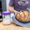 Fermentador de masa madre - Amoreco