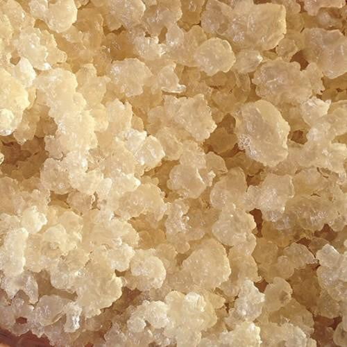 Gránulos de Kéfir de AGUA Orgánico - Deshidratados - Amoreco